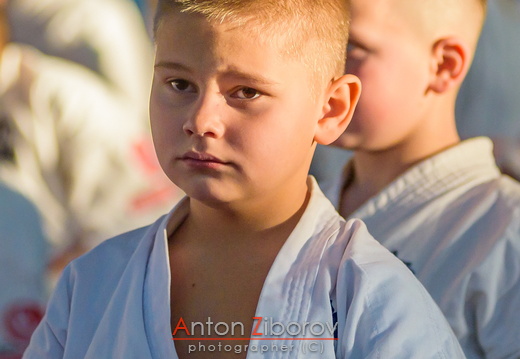 DSC 4921 (17 visits) DSC 4921