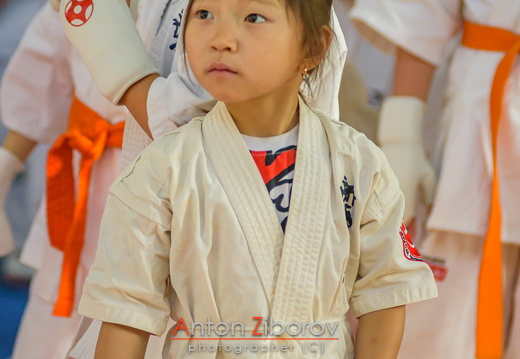 DSC 4981 (6 visits) DSC 4981