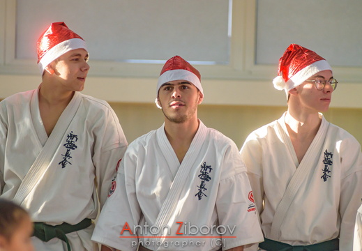 DSC 4987 (6 visits) DSC 4987