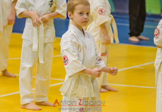 DSC 0100 (68 visits) DSC 0100