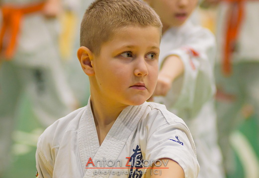 DSC 0105 (77 visits) DSC 0105