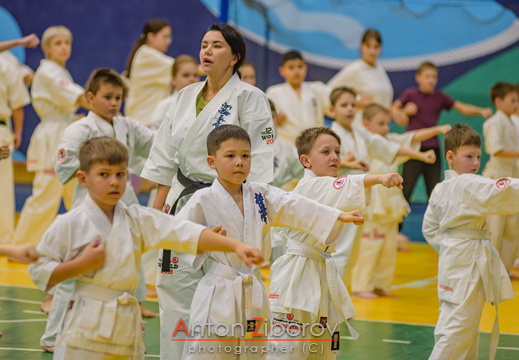 DSC 0111 (69 visits) DSC 0111