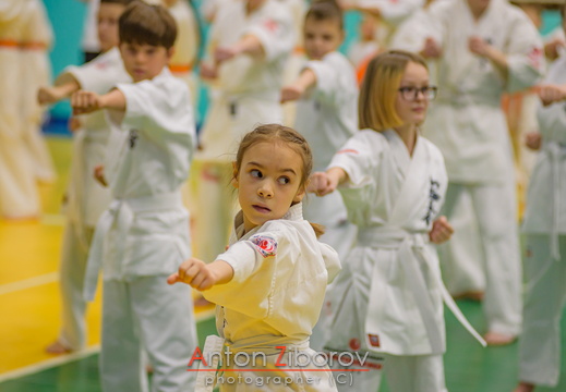 DSC 0108 (77 visits) DSC 0108