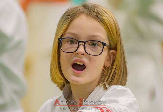 DSC 0118 (63 visits) DSC 0118