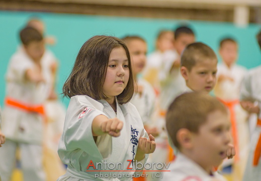 DSC 0114 (78 visits) DSC 0114