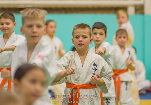 DSC 0121 (76 visits) DSC 0121