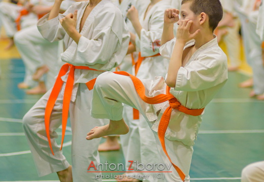 DSC 0162 (73 visits) DSC 0162