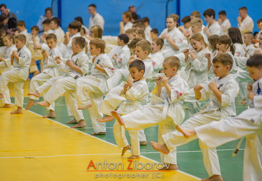 DSC 0172 (73 visits) DSC 0172
