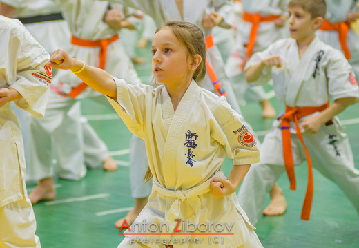 DSC 0188 (71 visits) DSC 0188
