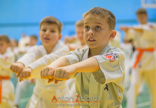 DSC 0212 (70 visits) DSC 0212