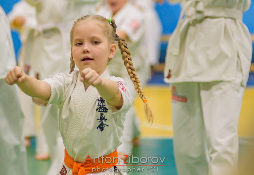 DSC 0218 (70 visits) DSC 0218