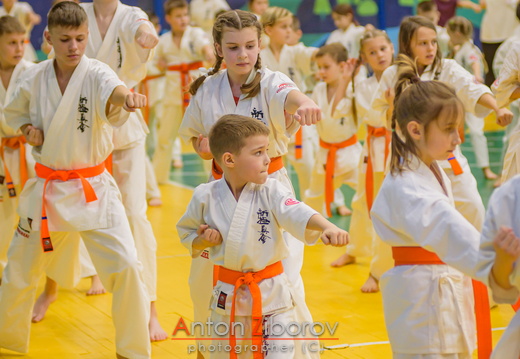 DSC 0248 (71 visits) DSC 0248