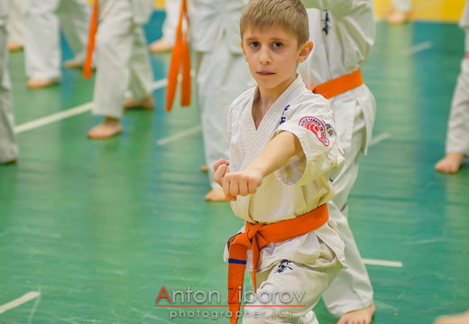 DSC 0243 (67 visits) DSC 0243