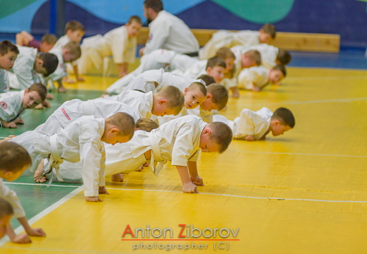 DSC 0250 (67 visits) DSC 0250