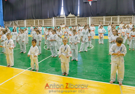 DSC 8132 (79 visits) DSC 8132