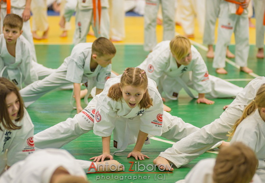 DSC 0262 (62 visits) DSC 0262