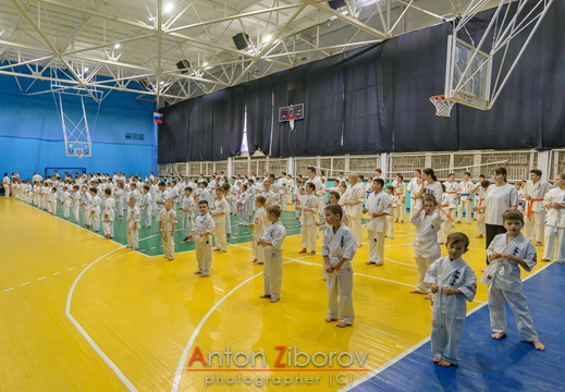 DSC 8133 (74 visits) DSC 8133