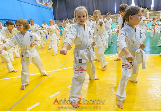 DSC 8161 (68 visits) DSC 8161
