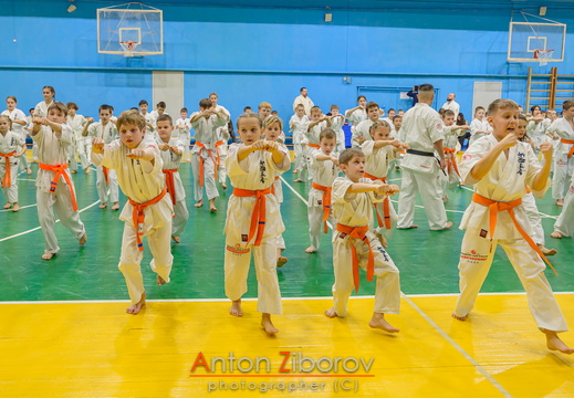 DSC 8192 (73 visits) DSC 8192
