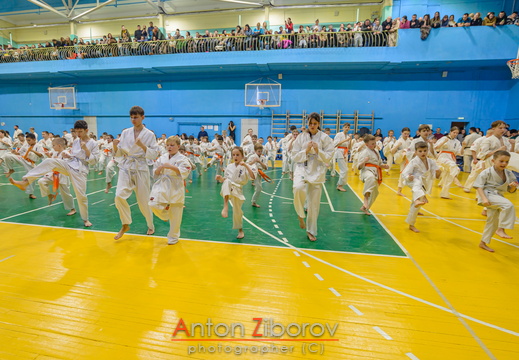 DSC 8207 (70 visits) DSC 8207