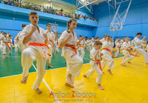 DSC 8204 (71 visits) DSC 8204