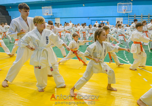 DSC 8219 (73 visits) DSC 8219