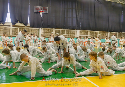 DSC 8227 (72 visits) DSC 8227