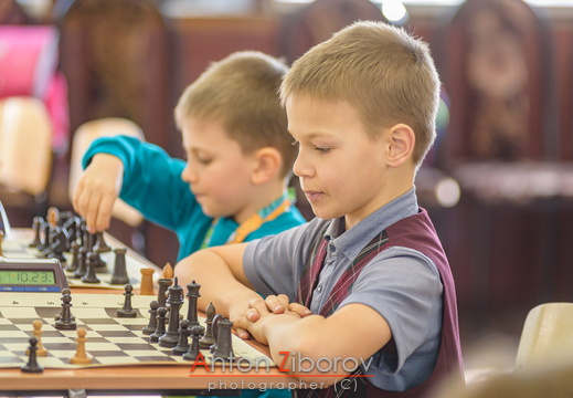 DSC 9131 (6 visits) DSC 9131